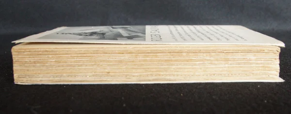 Roger Sauvage Un du Normandie-niémen éditions André Martel ediion originale - Afbeelding 6